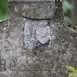 Fotografia przedstawiająca Nagrobek Bolesława Protosewicza