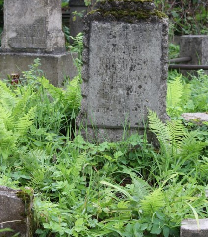 Nagrobek Antoniego Krasowskiego, cmentarz na Rossie w Wilnie, stan na 2013 r.