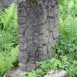 Альтернативний текст фотографії