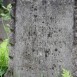 Альтернативний текст фотографії