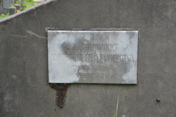 Detail of the tomb of Stanislaw and Viktoria Tieslowicz, Ross Cemetery in Vilnius, as of 2013
