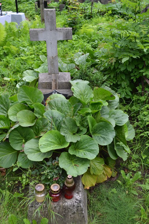 Tombstone of Krzysztof and Ludwik Niececki, Rossa cemetery in Vilnius, as of 2013