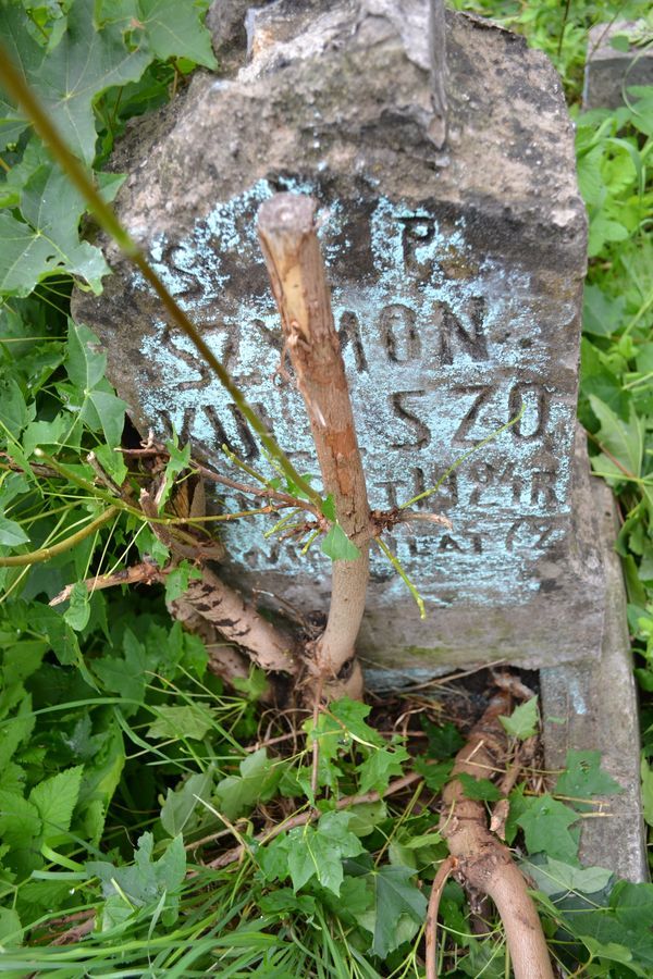 Detal nagrobka Szymona Kuleszo, cmentarz na Rossie w Wilnie, stan z 2013