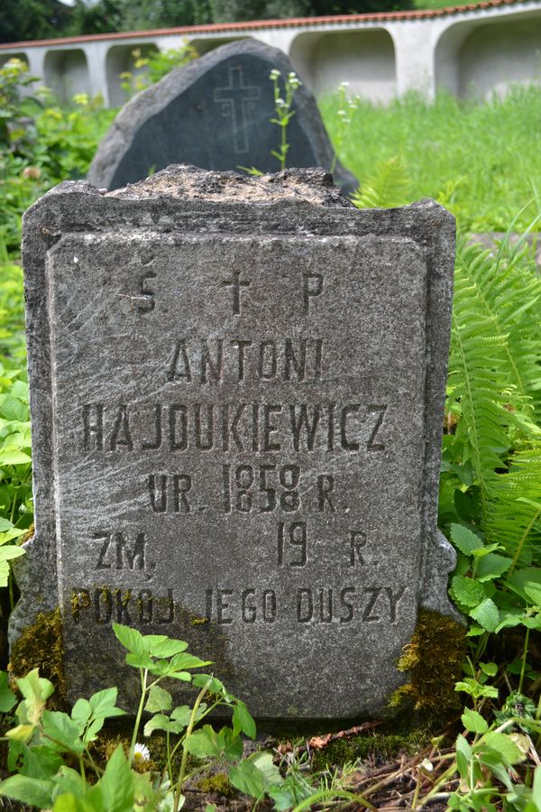 Nagrobek Antoniego Hajdukiewicza, cmentarz na Rossie w Wilnie, stan na 2013 r.