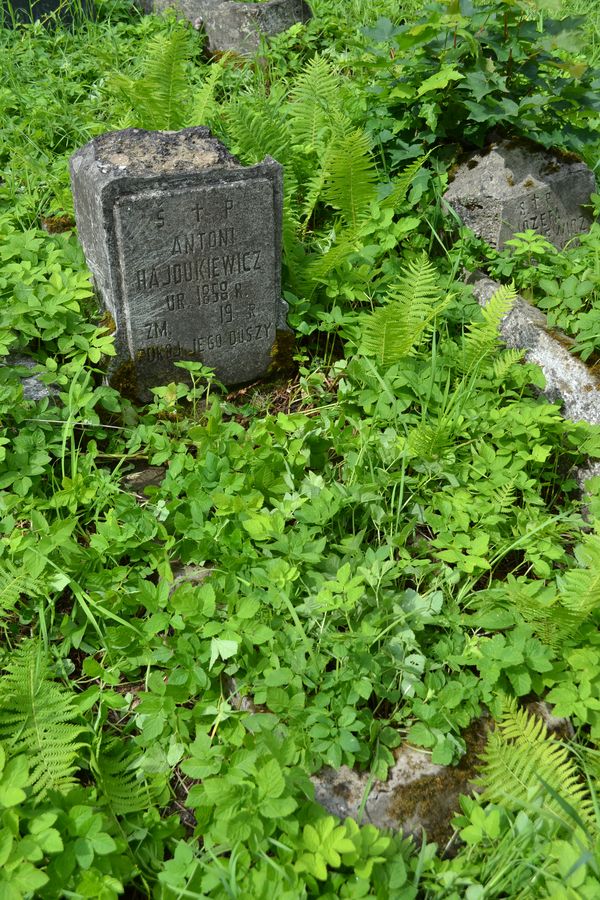 Tombstone of Antoni Hajdukiewicz, Ross cemetery in Vilnius, as of 2013.