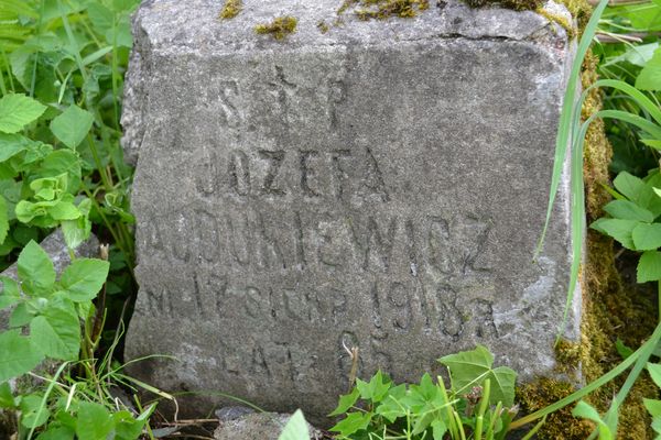 Tombstone of Jozefa [H]ajdukiewicz, Ross cemetery in Vilnius, as of 2013.