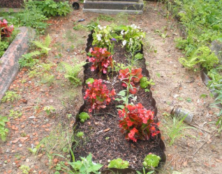 Nagrobek Wiktora Malinowskiego, cmentarz na Rossie w Wilnie, stan na 2013 r.