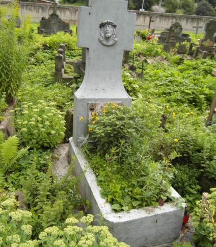 Nagrobek Antoniego i Szczepana Żebrowskich, cmentarz Na Rossie w Wilnie, stan z 2013