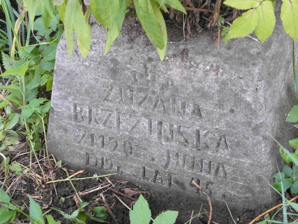 Inskrypcja nagrobka Zuzanny Brzezińskiej, cmentarz Na Rossie w Wilnie, stan z 2013