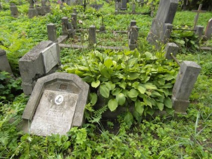 Nagrobek Józefa Ceneckiego z cmentarza Na Rossie w Wilnie, stan z 2013