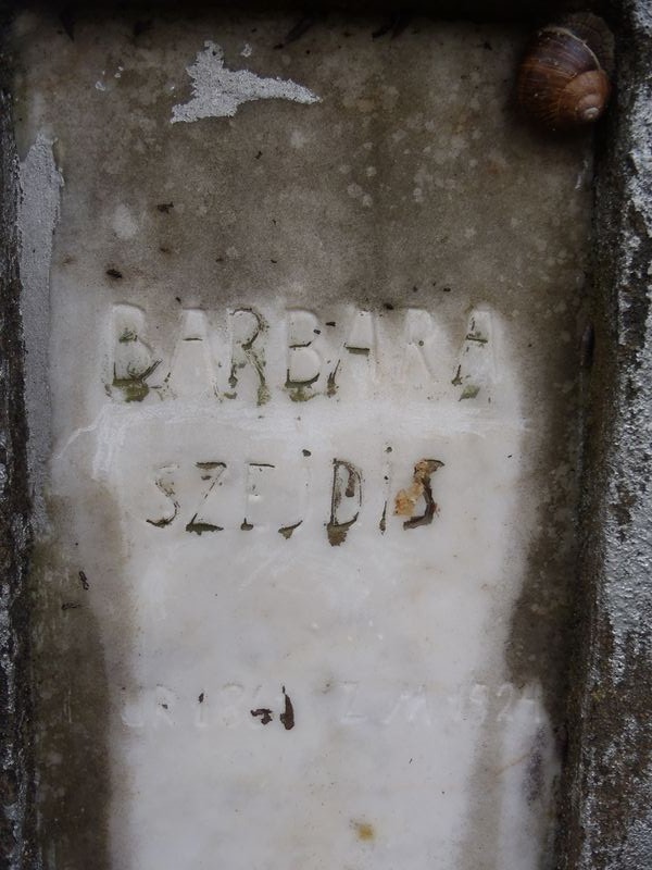 Inscription on the gravestone of the Szejdis family, Na Rossie cemetery in Vilnius, as of 2013