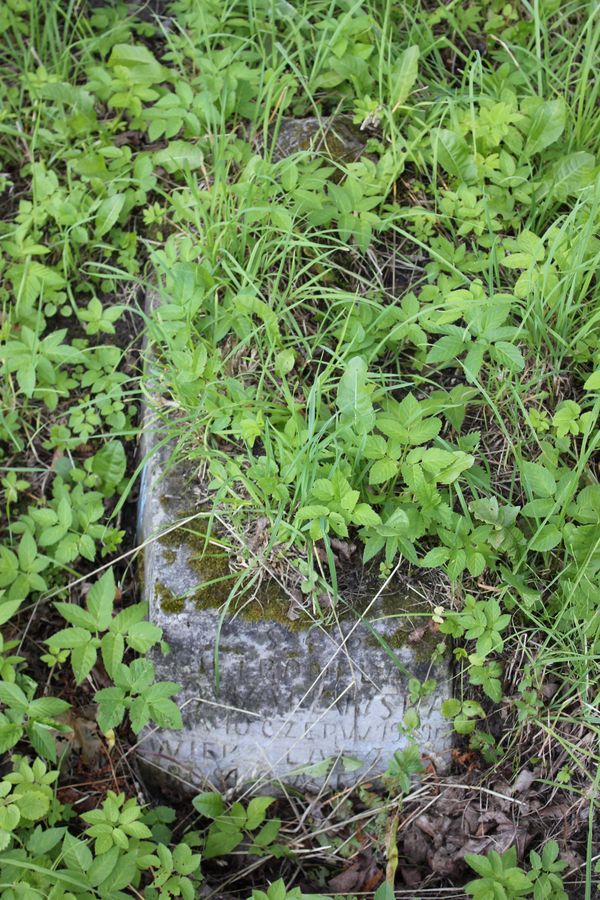 Tombstone of Petronela Kovalevskaya, Na Rossa cemetery in Vilnius, as of 2014.