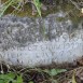 Photo montrant Tombstone of Petronela Kowalewska