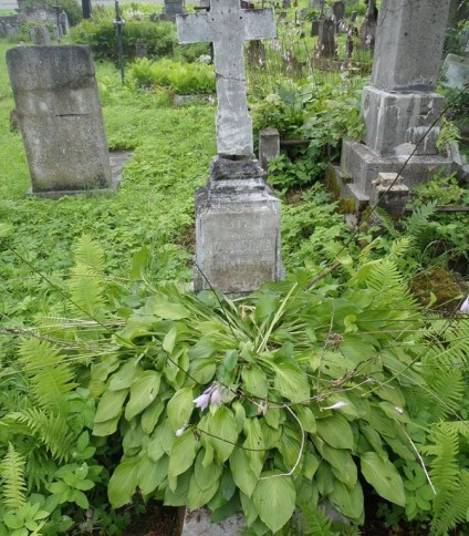 Nagrobek Anny Wiżnis, cmentarz Na Rossie w Wilnie, stan z 2013