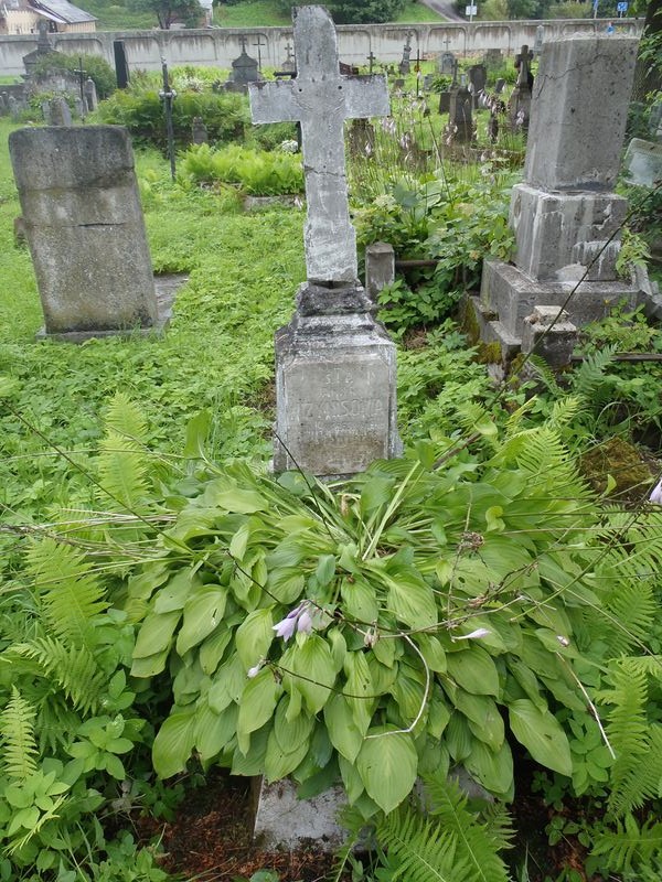 Tombstone of Anna Vijnis, Na Rossie cemetery in Vilnius, state of 2013