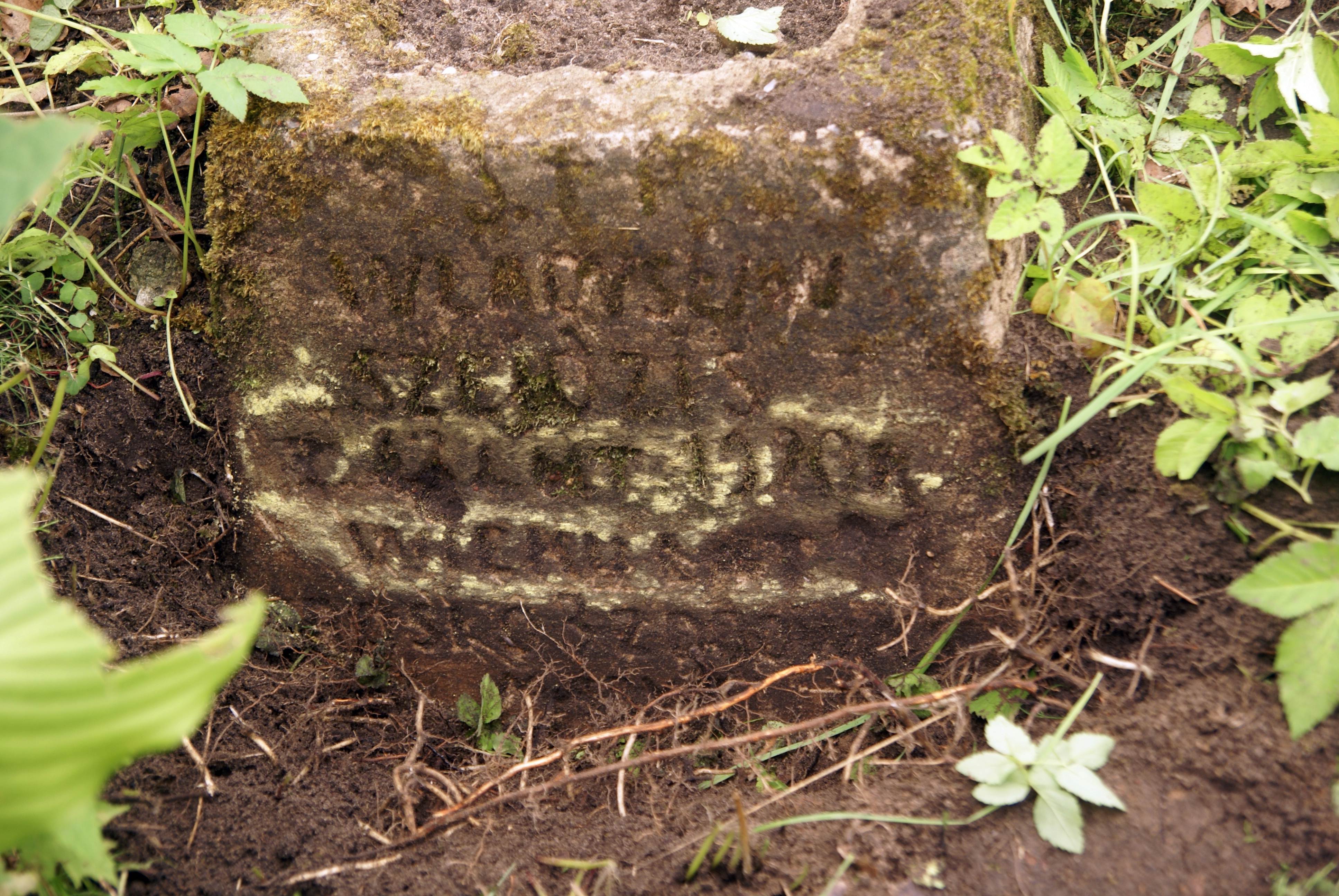 Inskrypcja na nagrobku Władysława Szejózisa, cmentarz Na Rossie w Wilnie, stan z 2013