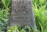 Fotografia przedstawiająca Nagrobek Szymona Tracewicza