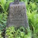 Fotografia przedstawiająca Nagrobek Szymona Tracewicza