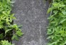 Fotografia przedstawiająca Nagrobek Emilii Cabaj