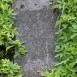 Fotografia przedstawiająca Nagrobek Emilii Cabaj