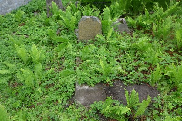 Tombstone of Józef Liniewski, Na Rossie cemetery in Vilnius, as of 2013.