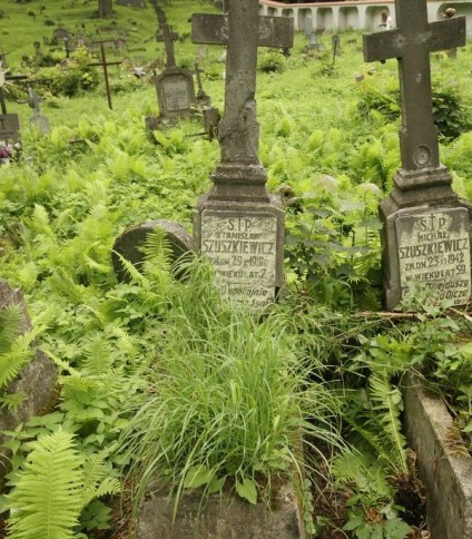 Nagrobek Stanisława Szuszkiewicza, cmentarz Na Rossie w Wilnie, stan z 2013