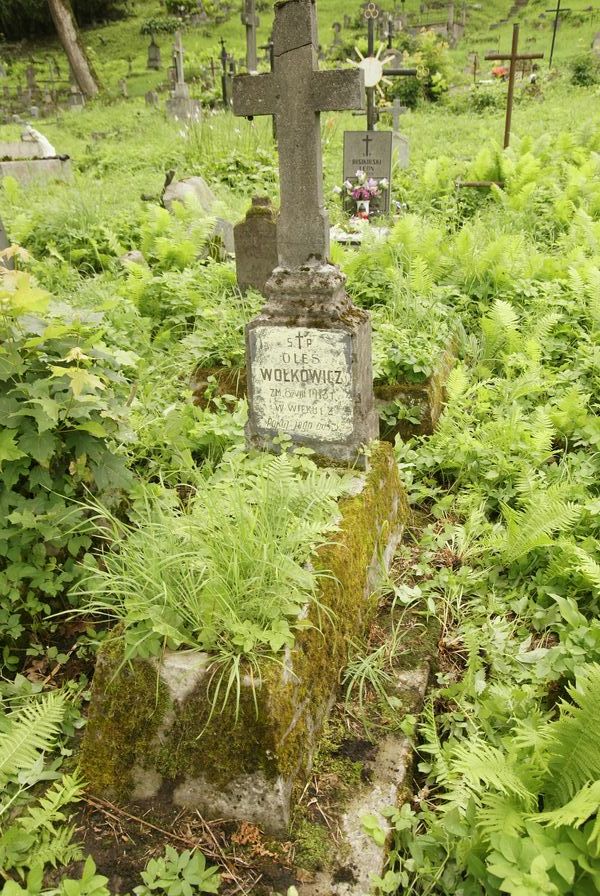 Nagrobek Aleksandra Wołkowicza, cmentarz Na Rossie w Wilnie, stan z 2013
