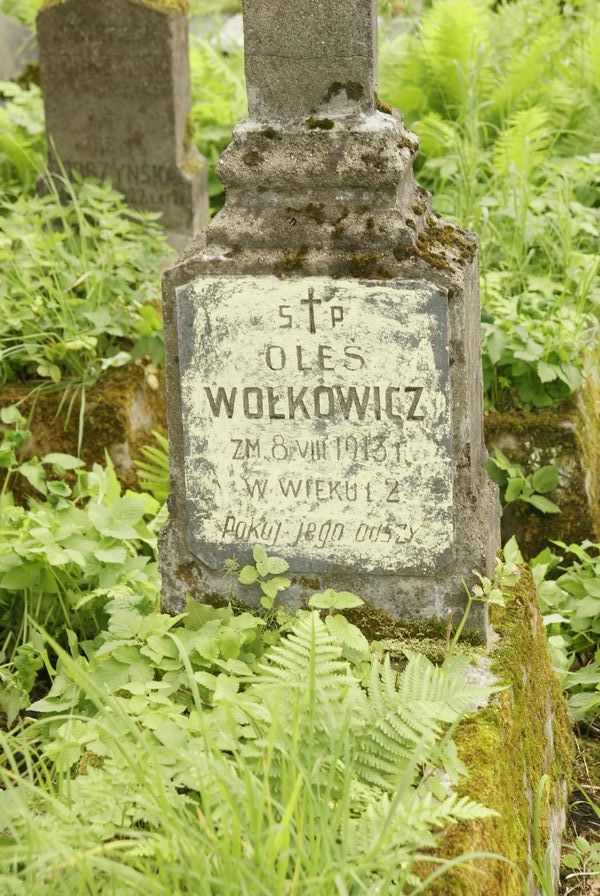 Nagrobek Aleksandra Wołkowicza, cmentarz Na Rossie w Wilnie, stan z 2013