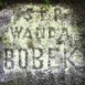 Fotografia przedstawiająca Nagrobek Wandy Bobek