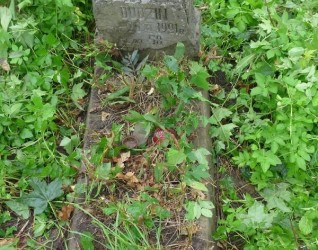 Nagrobek N.N. Dudzin, cmentarz Na Rossie w Wilnie, stan z 2013 r.