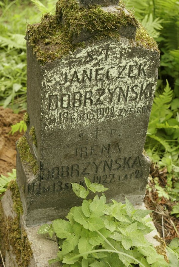 Nagrobek Jana i Ireny Dobrzyńskich, cmentarz Na Rossie w Wilnie, stan z 2013