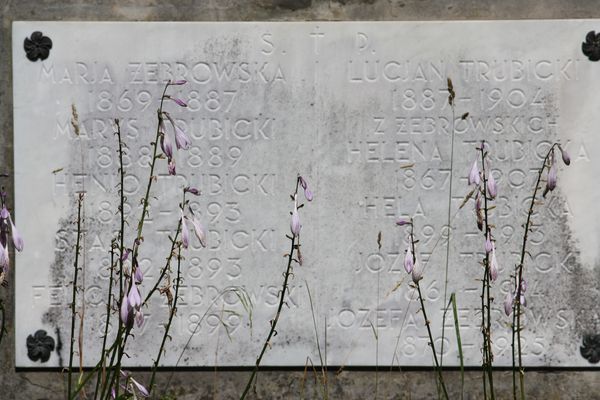 Fragment grobowca rodzin Trubickich i Żebrowskich, cmentarz Na Rossie w Wilnie, stan z 2014 r.