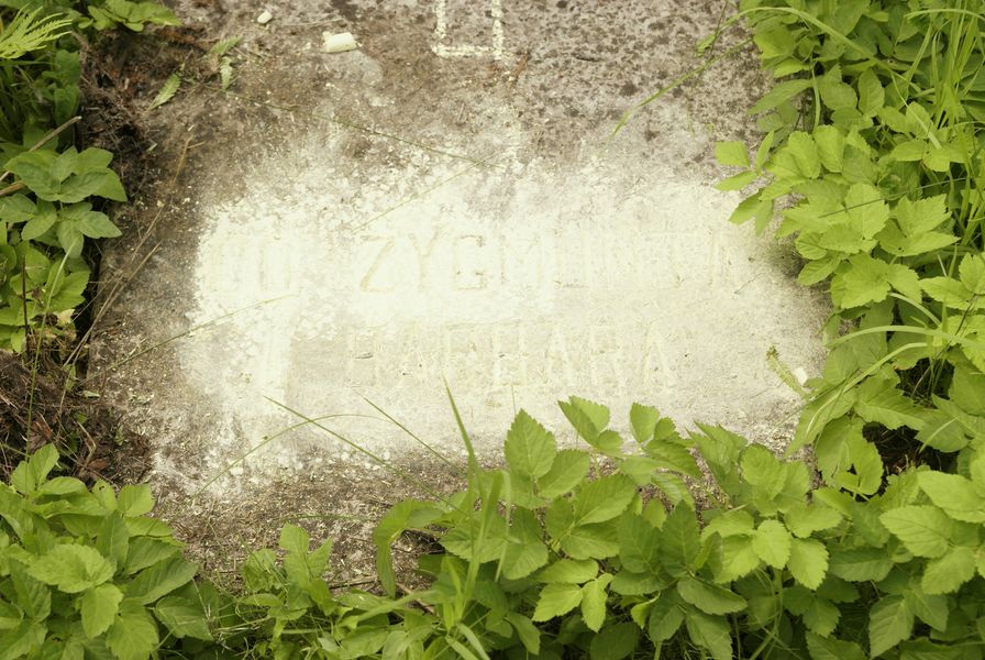 Tombstone of the Tylunas family, Na Rossa cemetery in Vilnius, as of 2013
