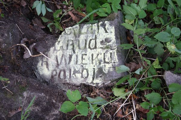 Fragment nagrobka N.N. z cmentarza na Rossie w Wilnie, stan z 2013 r.