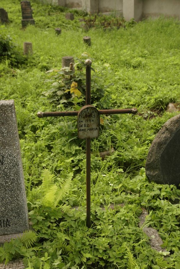 Nagrobek Emilii Tylunas, cmentarz Na Rossie w Wilnie, stan z 2013