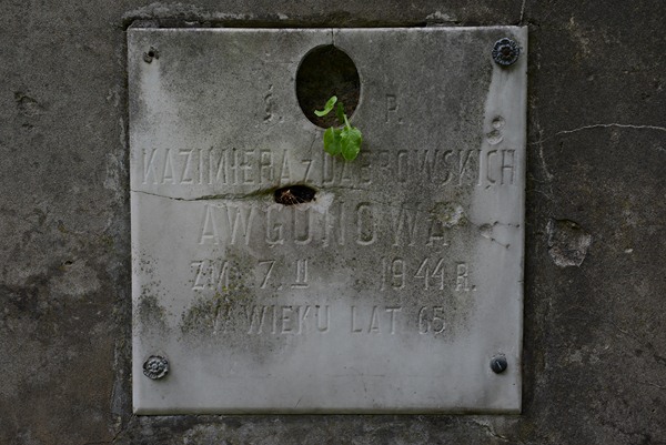 Fragment grobowca Leona i Kazimiery Awgun z cmentarza na Rossie w Wilnie, stan z 2013 r.