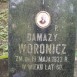 Photo montrant Tomb of Damas Voronicz