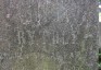 Fotografia przedstawiająca Nagrobek Julii Rytolf