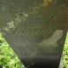 Fotografia przedstawiająca Tombstone of the Majewski family