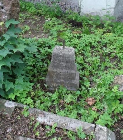 Nagrobek Franciszka Staszkiewicza, cmentarz Na Rossie w Wilnie, stan z 2012