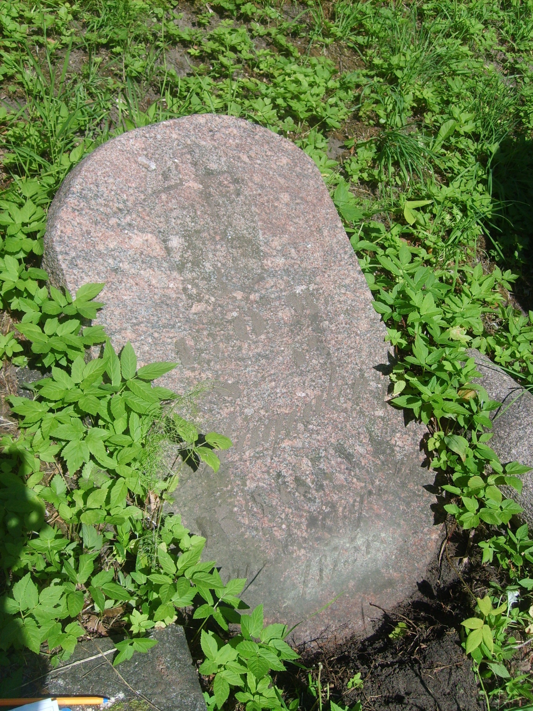 Nagrobek Magdaleny Rakint, cmentarz Na Rossie w Wilnie, stan z 2013 roku