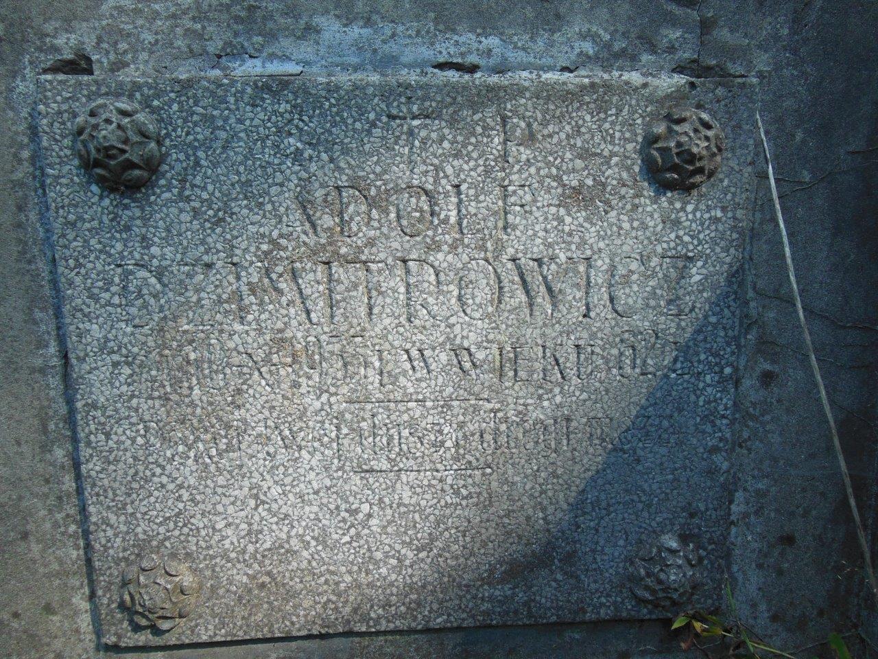 Fragment of Adolf Dzimitrovich's tomb from the Ross Cemetery in Vilnius, as of 2013.