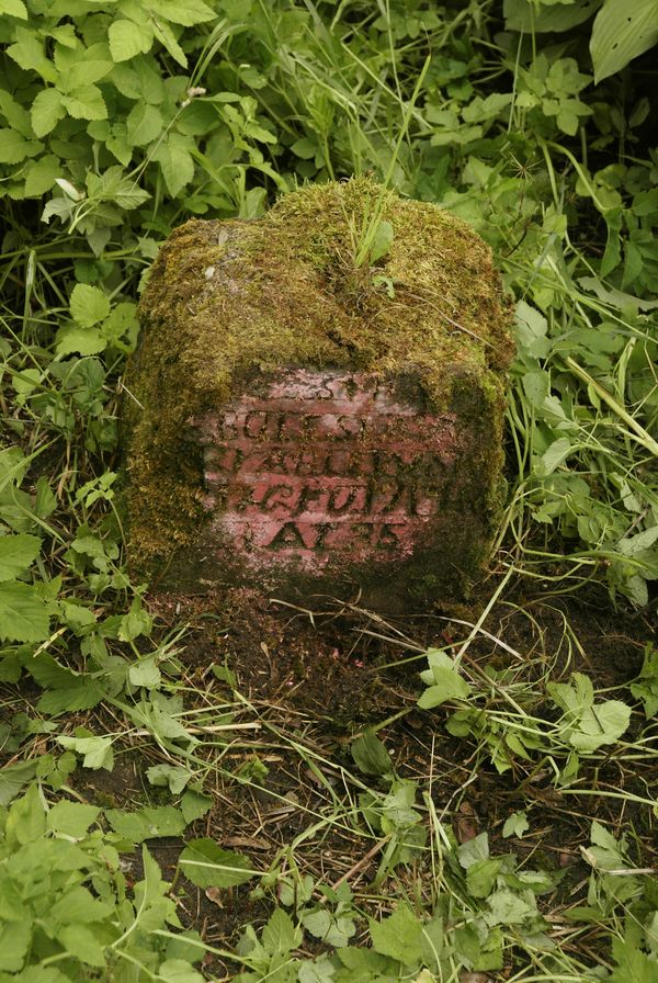 Tombstone of Bolesław [...]zyablewski, Na Rossie cemetery in Vilnius, as of 2013