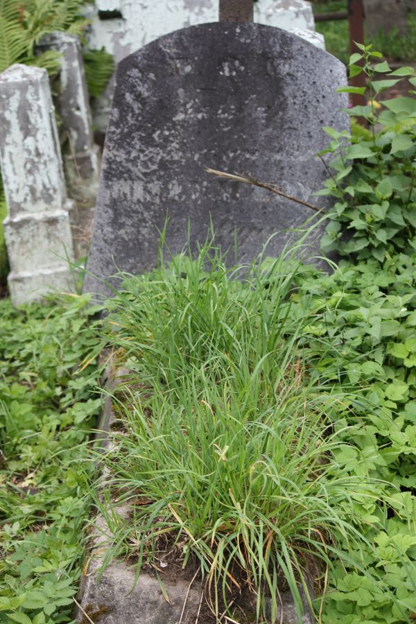 Nagrobek Tekli Misewicz, cmentarz Na Rossie w Wilnie, stan z 2014 r.