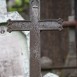 Fotografia przedstawiająca Nagrobek Tekli Misewicz