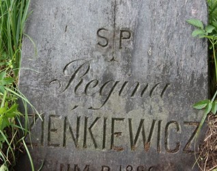 Nagrobek Reginy Zieńkiewicz, cmentarz Na Rossie w Wilnie, stan z 2014 r.