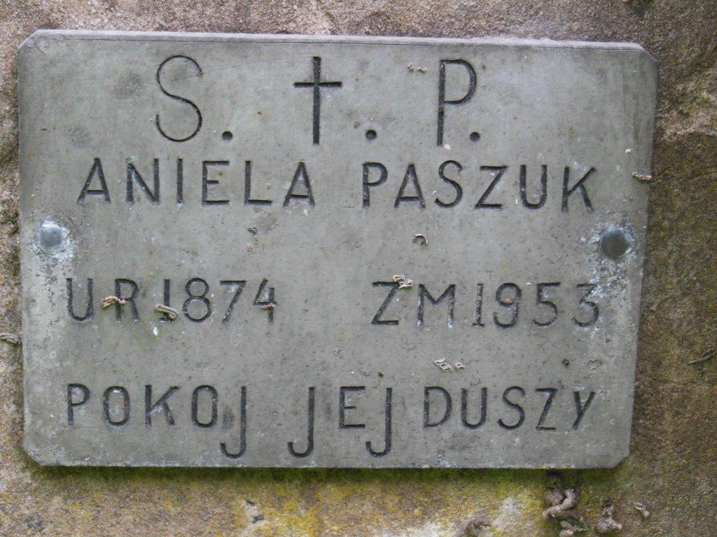 Fragment of the tombstone of Izabela Kucharewicz and Aniela Paszuk from the Ross Cemetery in Vilnius, as of 2013.