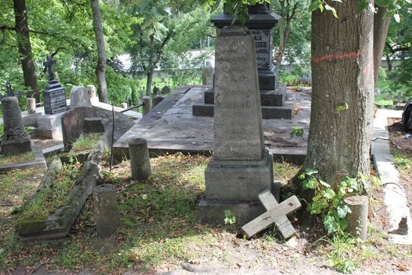 Nagrobek Ignacego i Ksawerego Krzyckich, cmentarz na Rossie w Wilnie, stan z 2013