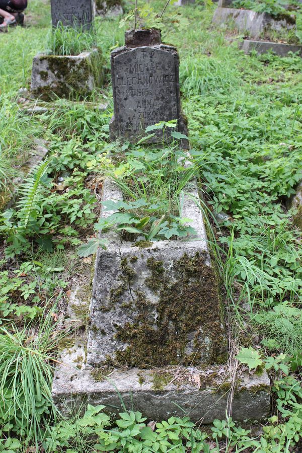 Nagrobek Anny i Michała Olechnowiczów, cmentarz na Rossie w Wilnie, stan z 2013