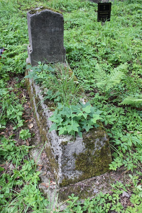 Tombstone of Celina Korsak-Zhaleska, Rossa cemetery in Vilnius, as of 2013